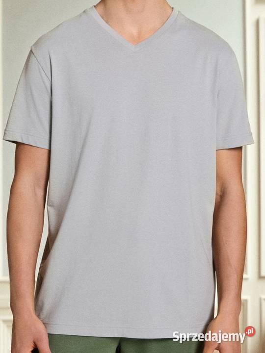 szary tshirt męski Sinsay Olkusz