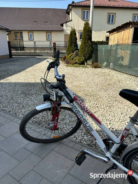 Rower damski Pegasus Przysieki