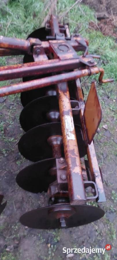 Talerzwka 16 Kock sprzedam