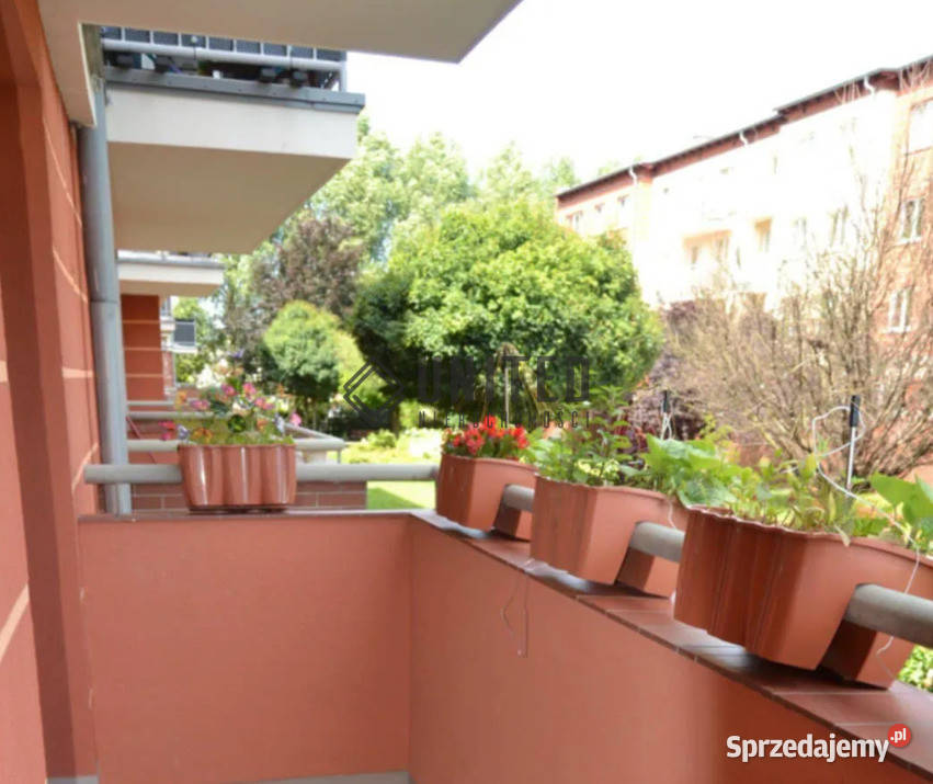 ulicy Straussa Wrocław