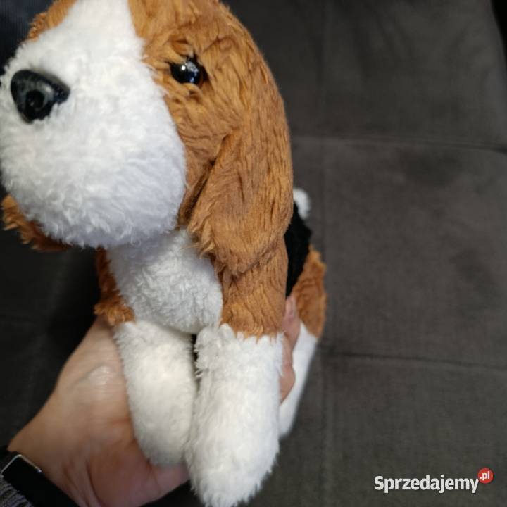 piesek maskotka pluszak kolejny Maskotki Poznań sprzedam