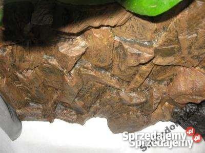 Profesjonalne TŁO STRUKTURALNE 3D 80 X 40 mega e Puławy sprzedam