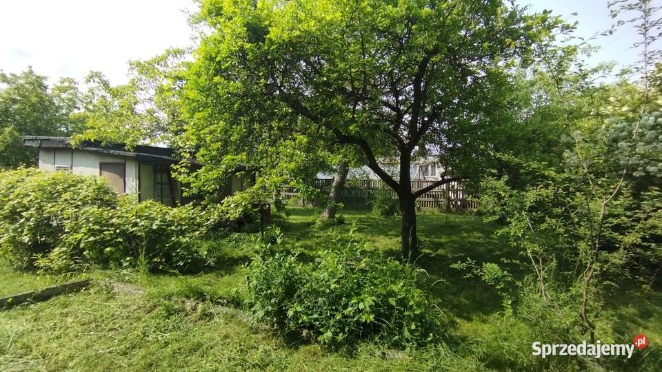Działka ROD Łódź Dąbrowa
