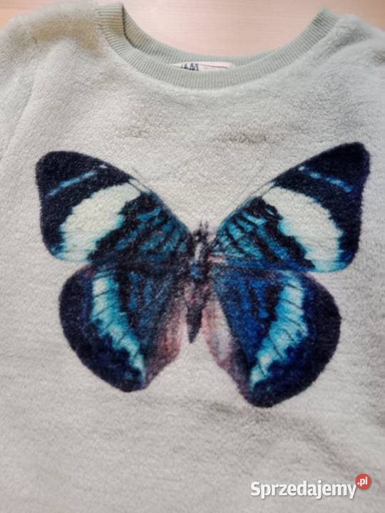 Polarowa bluza HM rozmiar 110116 Poznań