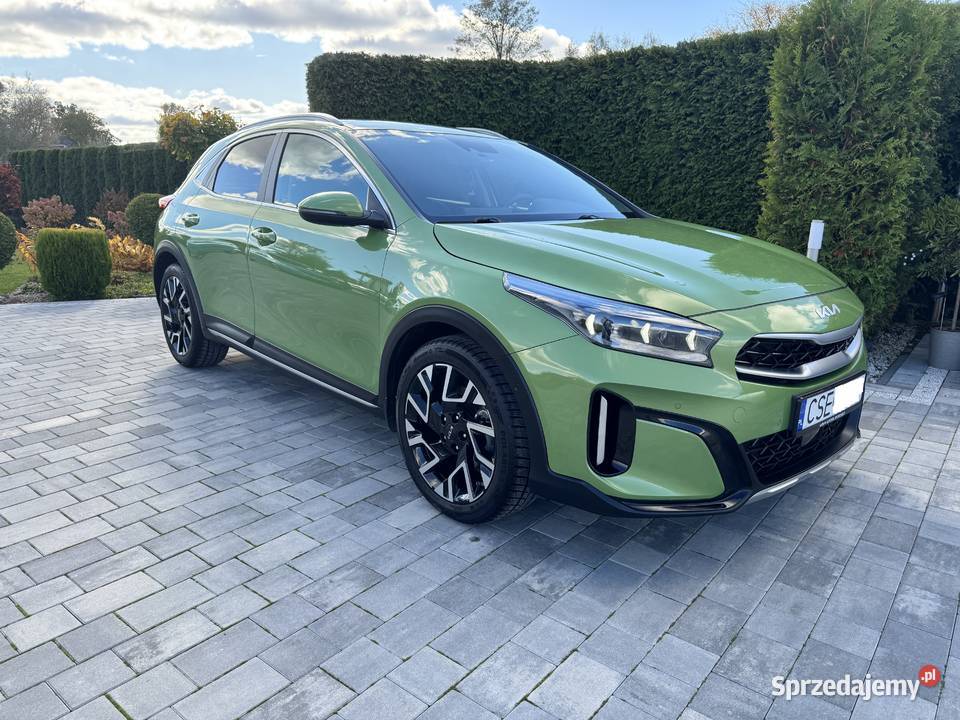 Kia XCeed 15 TGDI Business Line zielony Sępólno Krajeńskie sprzedam