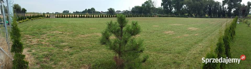Działka budowlana Plan Zagospodarowania sprzedam