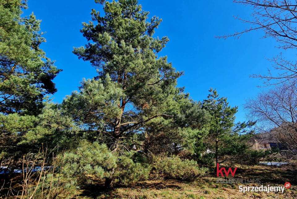 sprzedaży działki Ryjewo 2000m2