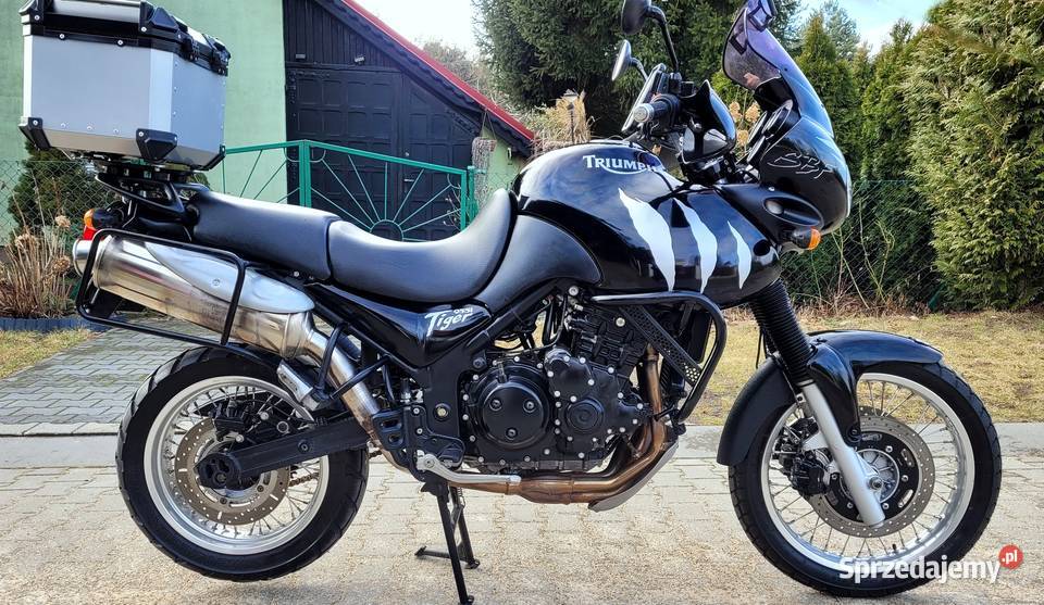 Triumpf Tiger idealny Doinwestowany Bezwypadkowy wielkopolskie Wijewo sprzedam