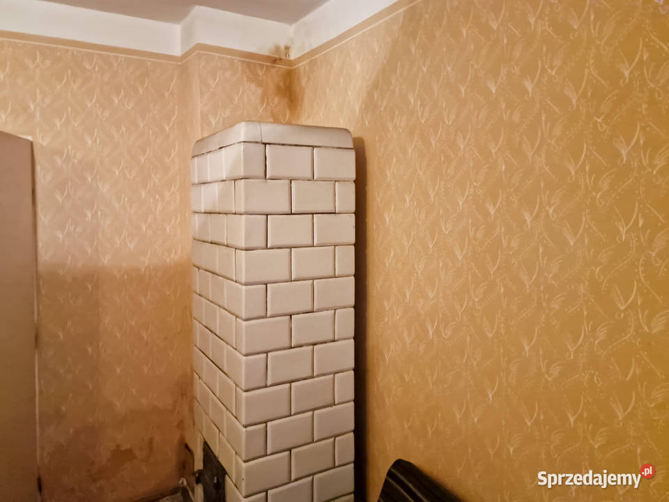 Piękne siedlisko budynki gospodarcze Biskupie 103.73m2