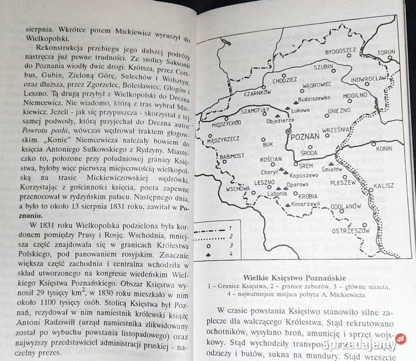 Wielkopolskim szlakiem Adama Mickiewicza Piotr Pozostałe Chełm