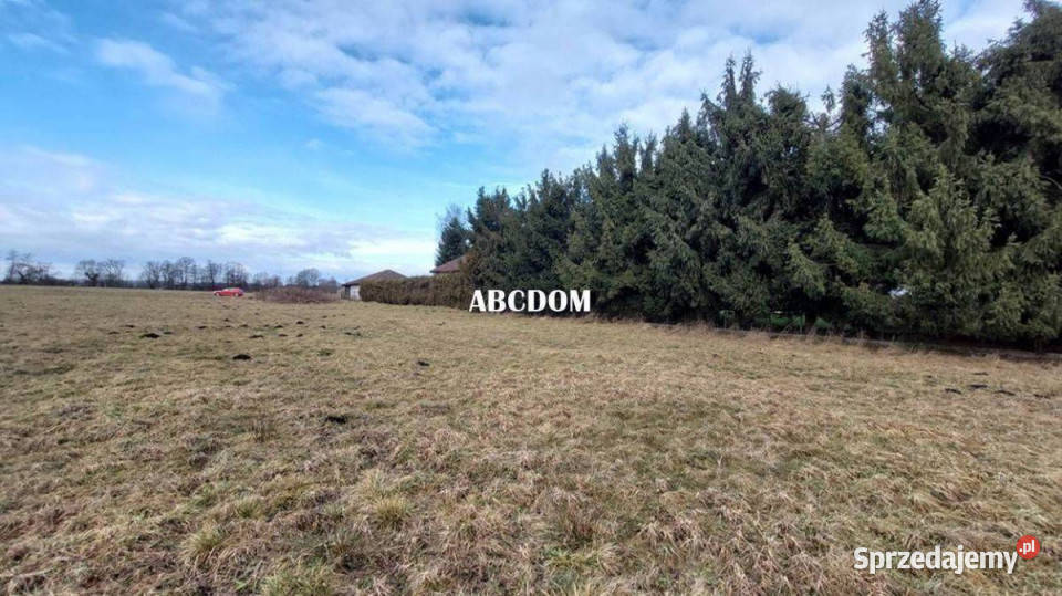 Cholerzyn działka budowlana 8 arów 800m2