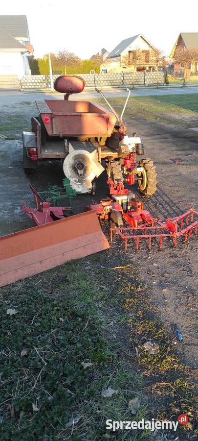 Terra vari jednoosiowy MF 70 gudbrod dzik Łowicz