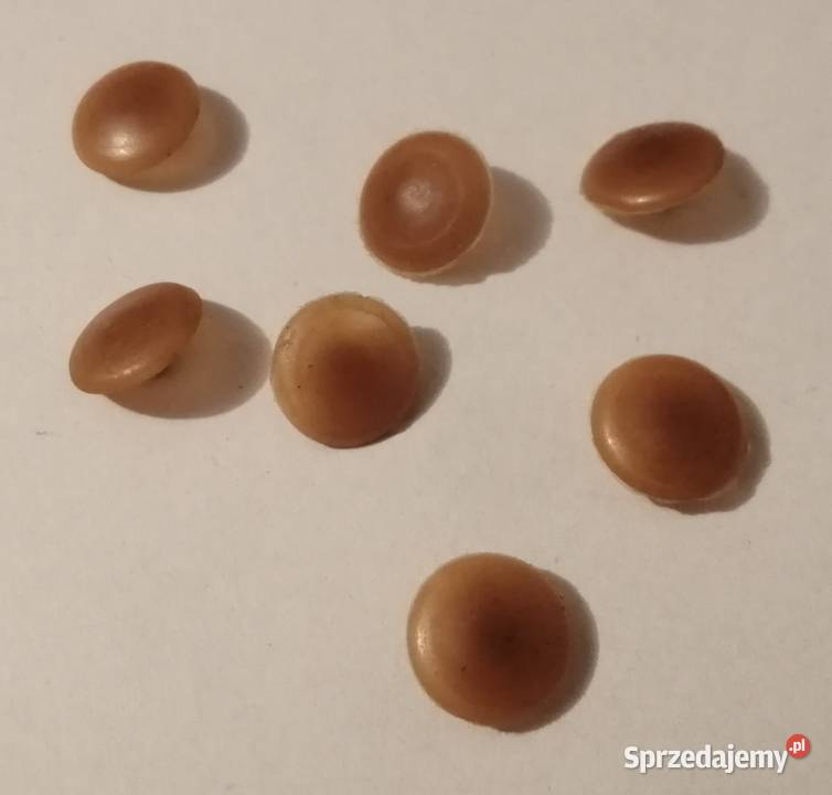 Zaślepka otworu maskująca brązowa 4x12mm 7 śląskie Czeladź