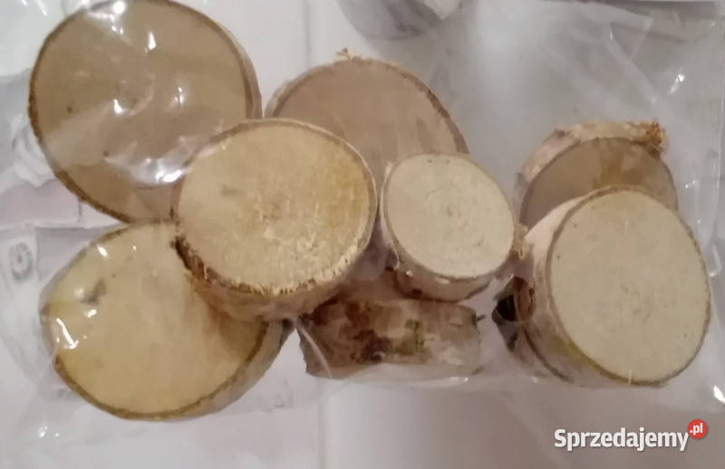 Mini drewniane krążki dekoracyjne Wyposażenie wnętrz łódzkie Łódź