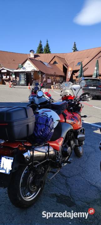 Triumph Tiger 955i 2004 łańcuch Tarnowskie Góry