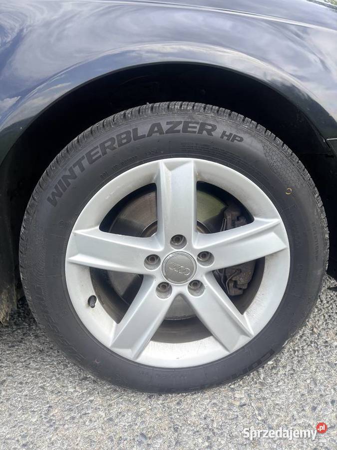 Audi A3 8P 20 TDI quattro podkarpackie