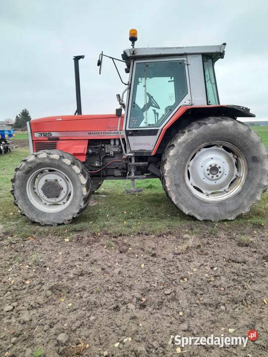 Massey Ferguson 3125 Dynashift Babczów