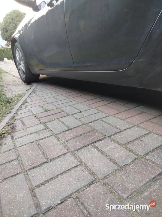 Sprzedam opla insignie Koronowo