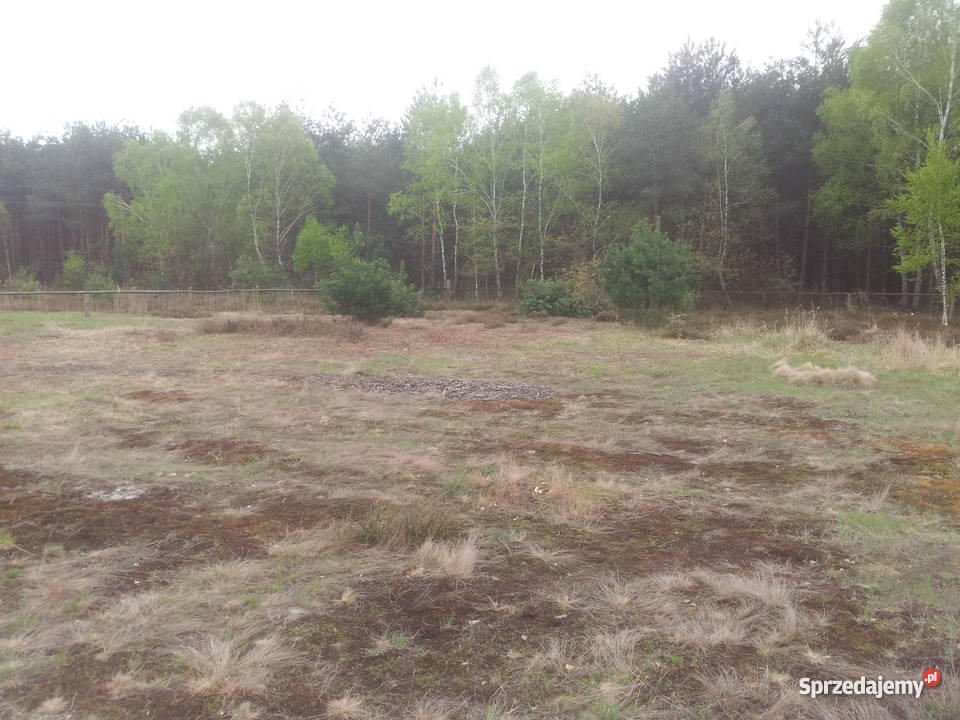 Działka Borowiec Tanwią malownicza okolica Borowiec