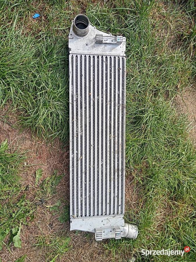 Intercooler F9Q 19 Megane Scenic Sandomierz