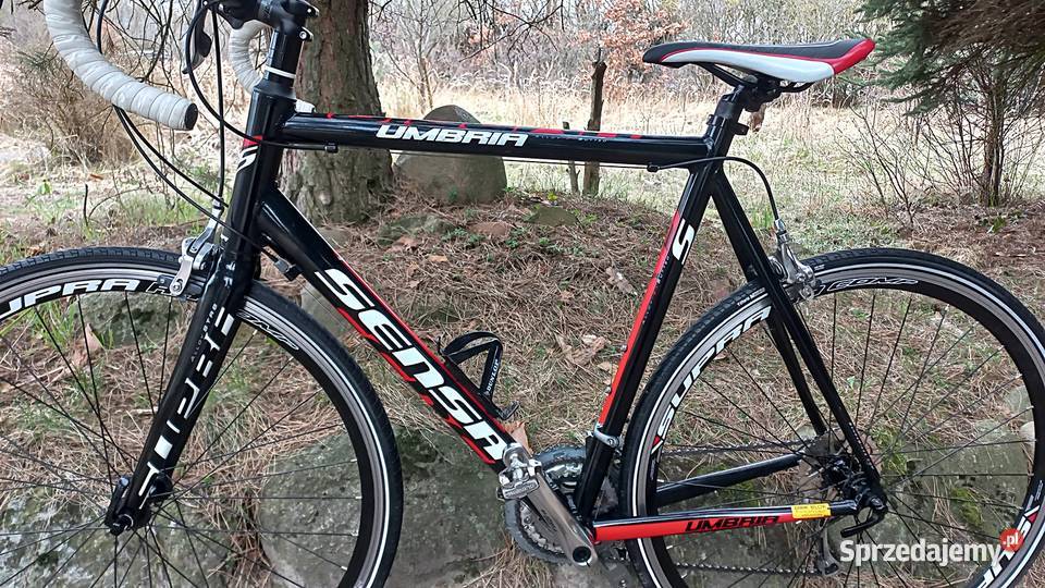 Alu Rower Szosowy Kolarka Szosa Kolarzówka Sensa Wołów