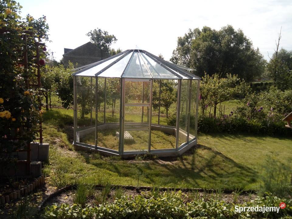 szklarnia Alicja Pozostałe Łobez