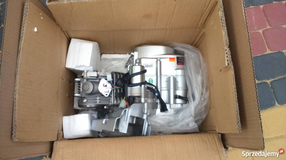 Gb Street 12550 Osie