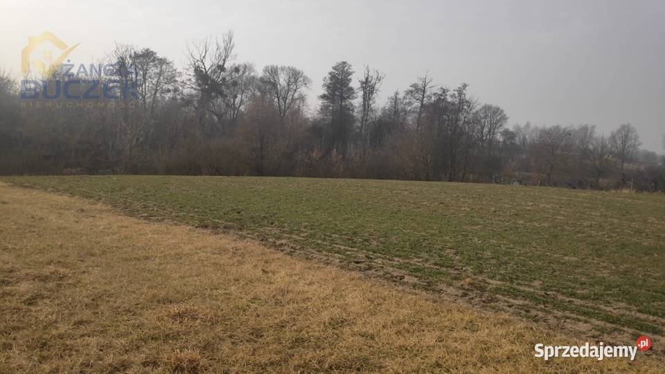 Sprzedam działki rolne z WZ w miejscowości Nieruchomości Strzyżew