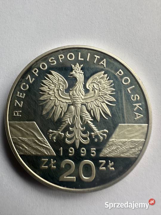 Moneta kolekcjonerska Sum