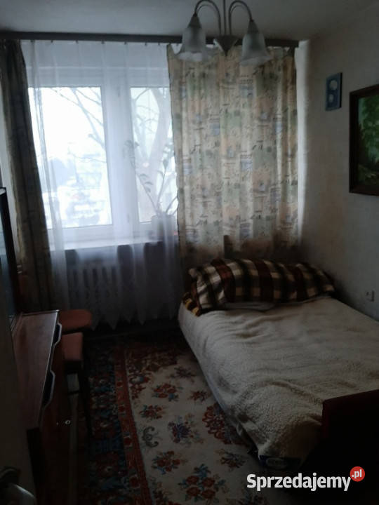 PŁOCK 3 pokoje 548 m 1 piętro BEZ POŚREDNIKÓW mazowieckie Płock