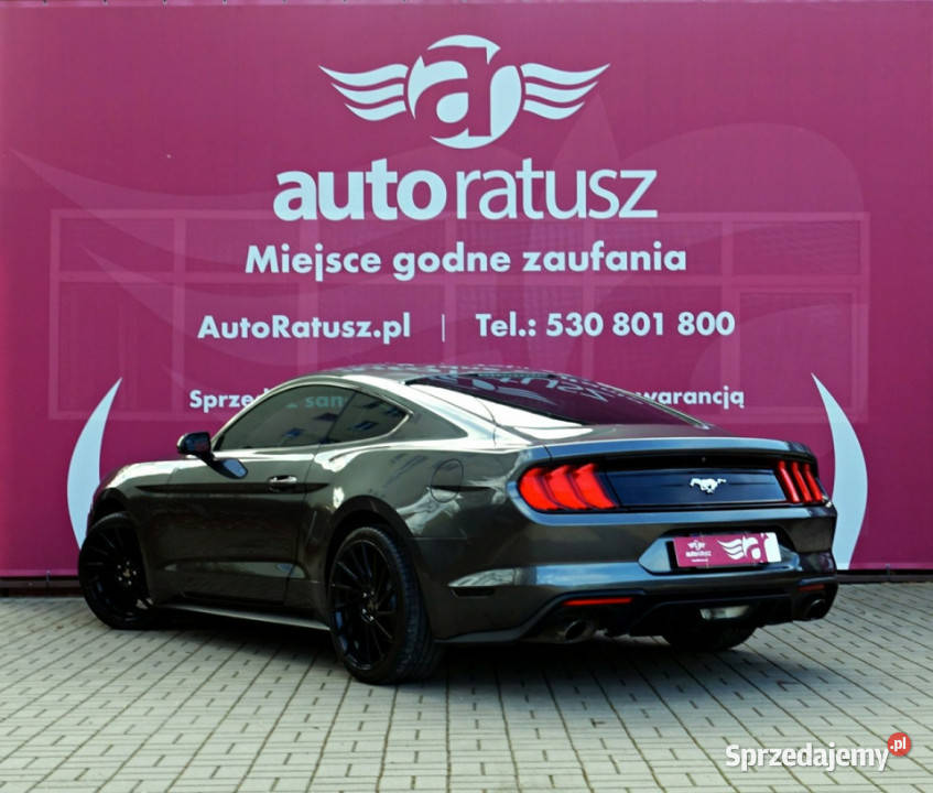 Ford Mustang Prywatna 23 Benzyna 317 Świetny Warszawa sprzedam