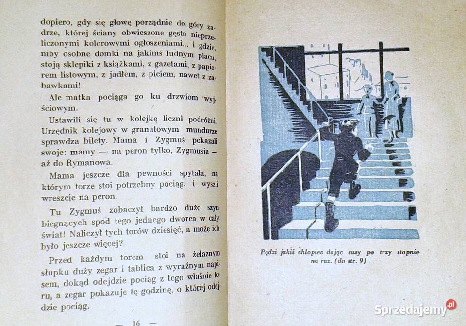 Zuchy Nowe przygody Tomka Modronia 1948 Ewa lubelskie Chełm