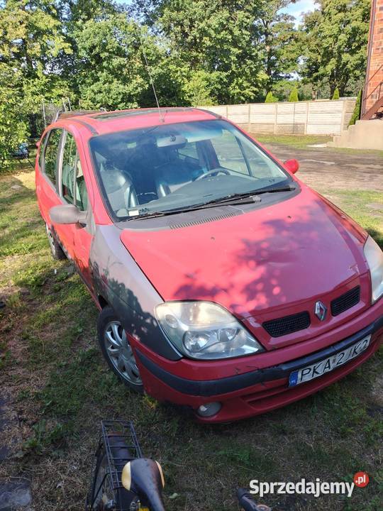 Renault Scenic 16 benzyna przyciemniane szyby wielkopolskie Gołuchów