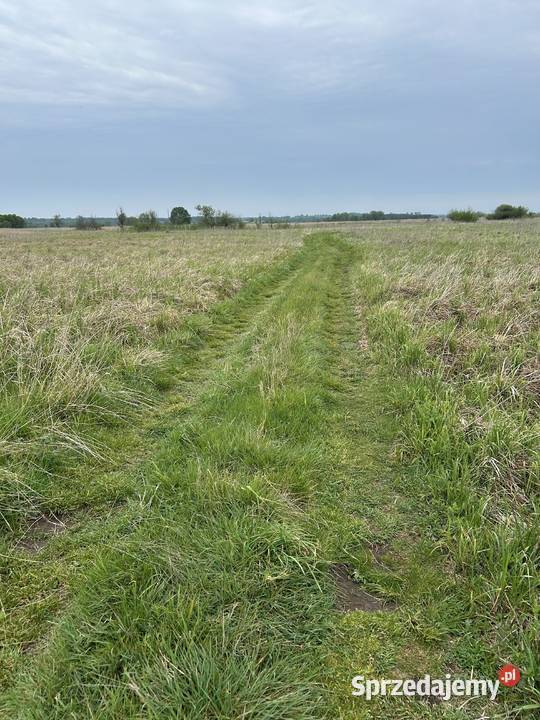 Działka z dostępem do naturalnego stawu 1091 m2 Baranów sprzedam