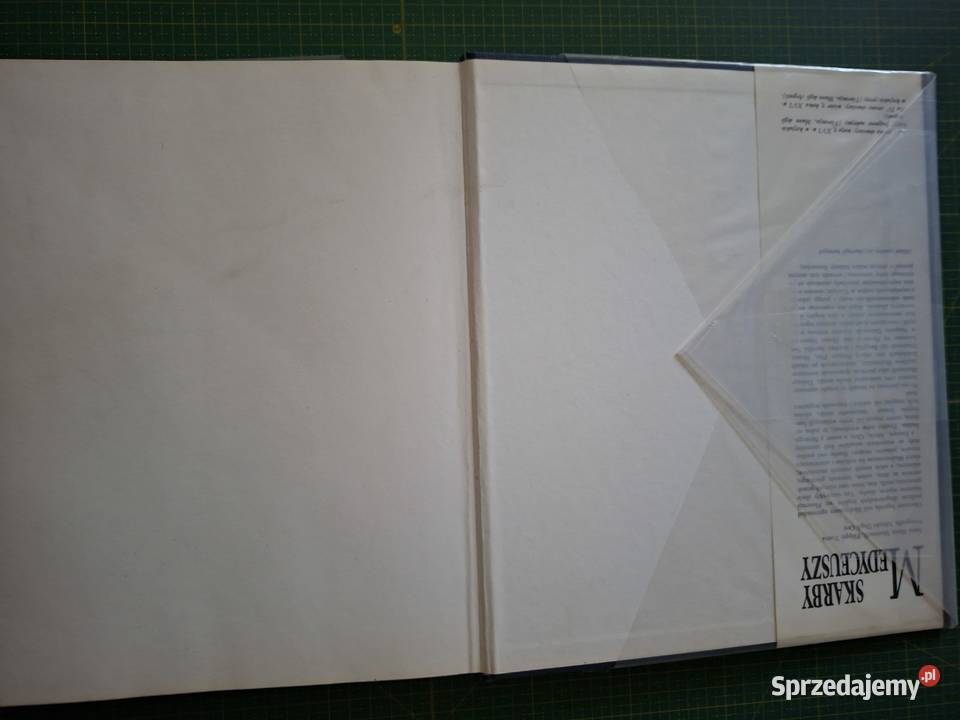 Skarby MedyceuszyAM Massinelli F Tuena Arkady Kraków