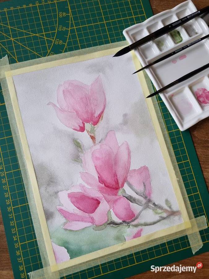 Magnolie oryginalna akwarela Łódź