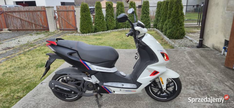 Peugeot Speedfight 4 2t Wodzisław Śląski sprzedam
