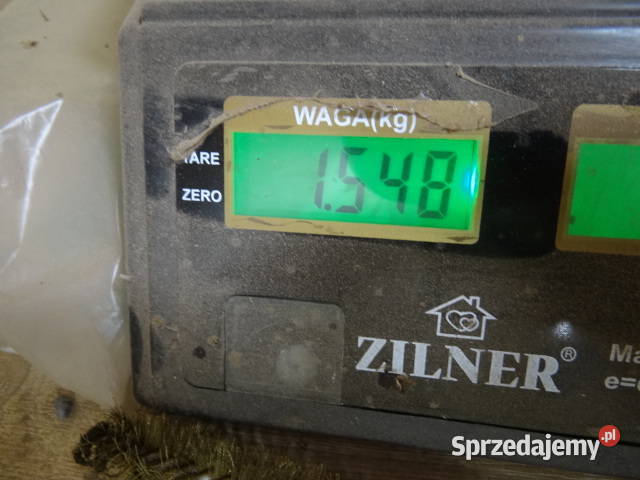 śruby ESKA 10 i 12 mm 15 org DDR lubuskie Żary