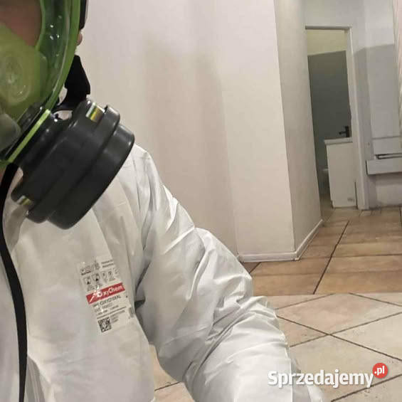 Odławianie i odstraszanie kretów Ochrona śląskie Jaworzno
