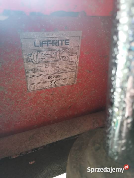 Paleciak wielkopolskie