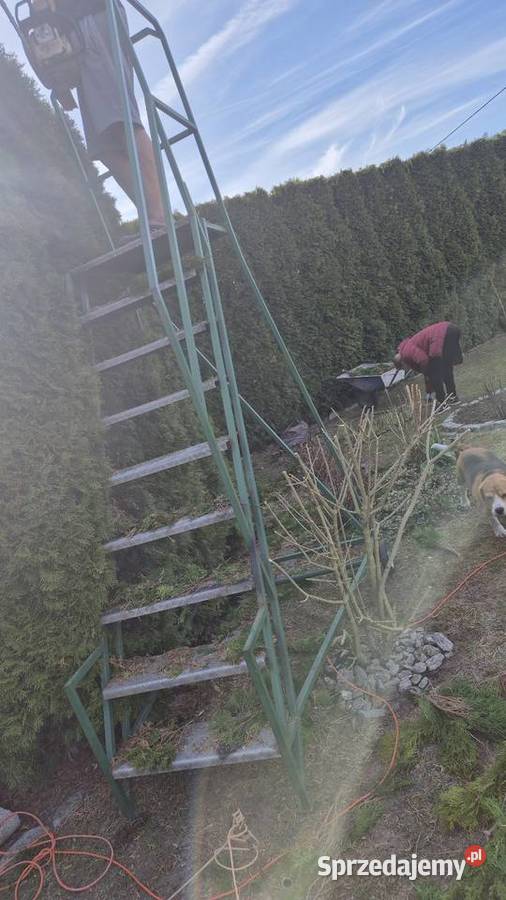 Drabina pomost pielęgnacja ogrodu Białystok