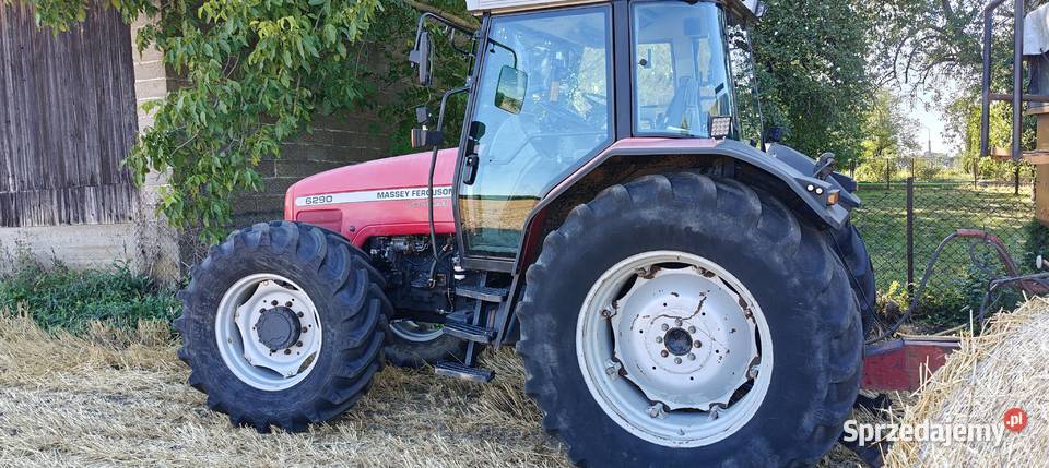 Massey Ferguson 6290 141 świętokrzyskie Kijany