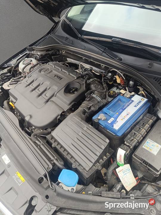 Skoda Octavia 3 2018r 20 TDI 150 Salon Polska Limanowa