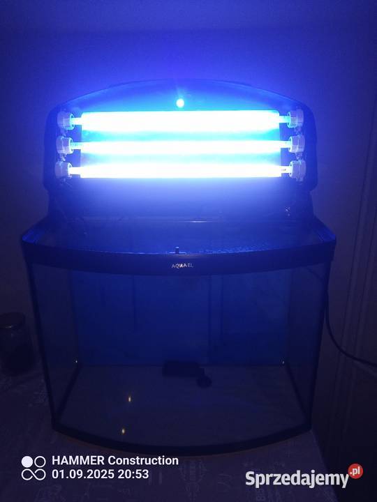 Sprzedam akwarium Morskie 60 mazowieckie Radom