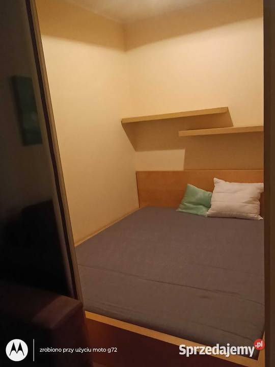 2pok 39met Magnolii BALKONPIWNICAWINDA Wrocław parter dolnośląskie