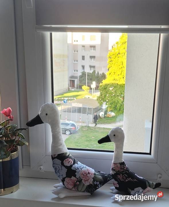 Gąski dekoracja Pleszew