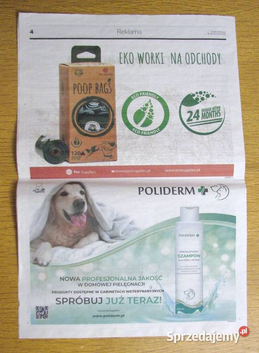 Zwierzęta w domu Gazeta Wyborcza Parczew