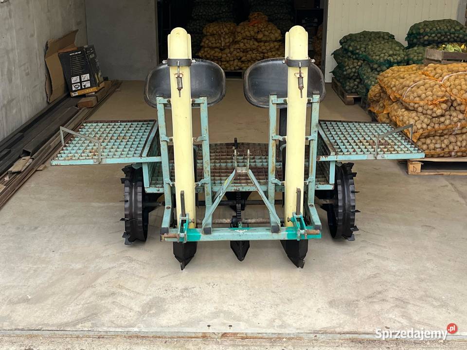 Sadzarka do ziemniaków podkiełkowanych wczesnych Siewniki i sadzarki Poddębice