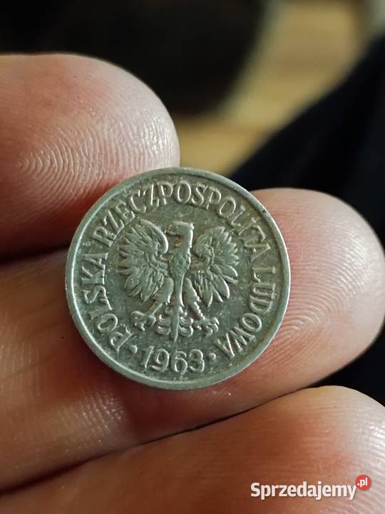 Sprzeam 10 gr 1953 bzm lubelskie Chełm sprzedam