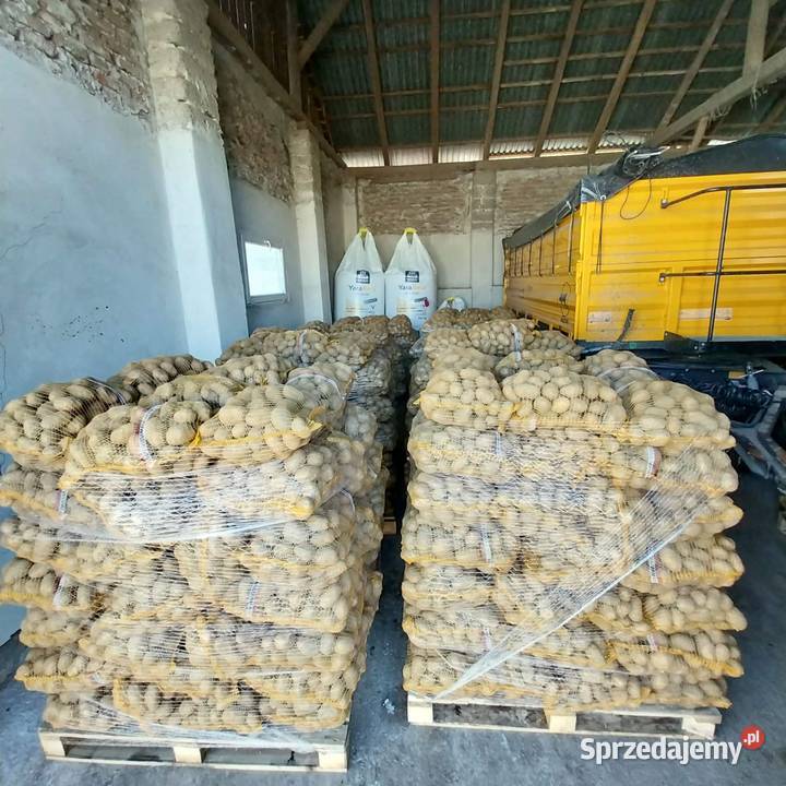 Sprzedam Ziemniaki